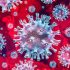 Corona vírus: pohľad  imunológa – dôverujme svojej imunite ale buďme zodpovední
